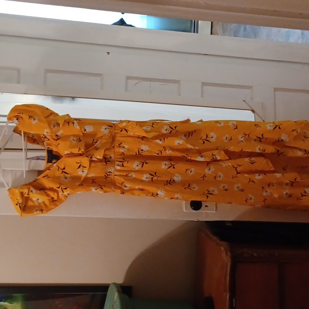 NWT Streetwear Society Maxi Dress